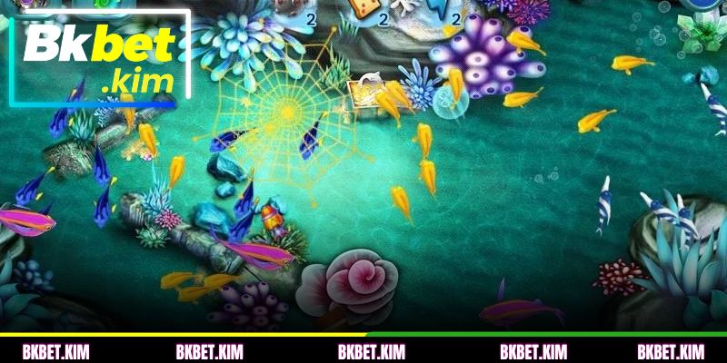 Características principais da pesca premiada