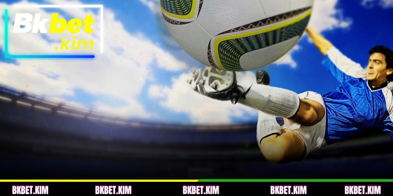 Entenda o conceito de Favorito e Azarão para iniciantes