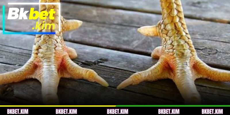 Guia passo a passo para identificar a escamação corretamente