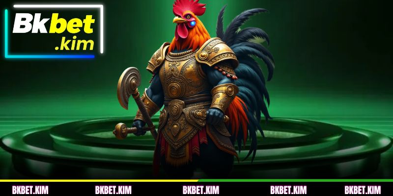 Os 3 Principais Provedores de Briga de Galo BKBET