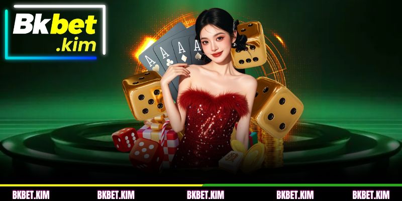 Termos e Condições BKBET sobre direitos e deveres do cliente