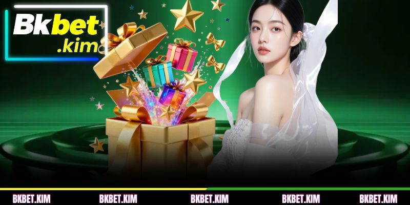 Termos e condições para o aporte que você deve notar